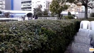 高颜值大白美乳白虎妹子道具自慰 黑丝高跟鞋椅子上跳蛋震动塞入拉扯呻吟娇喘 很是诱惑不要错过